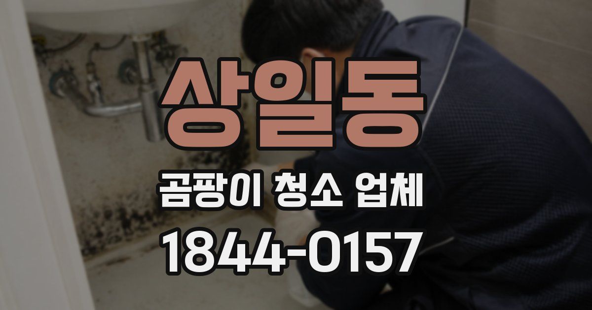 상일동 곰팡이 청소 업체