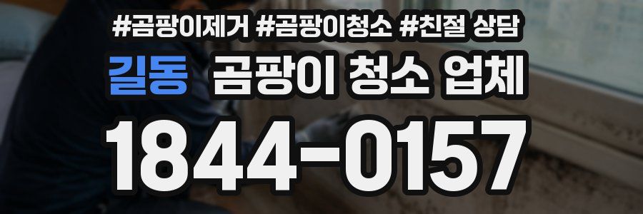 길동 곰팡이 청소 업체
