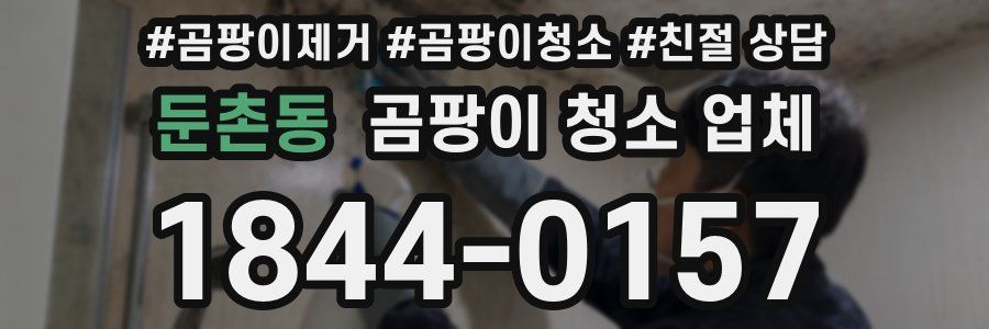 둔촌동 곰팡이 청소 업체