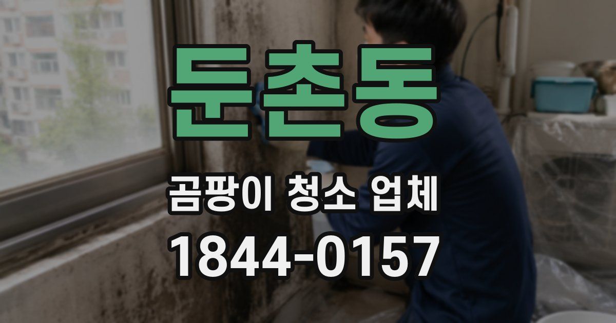 둔촌동 곰팡이 청소 업체
