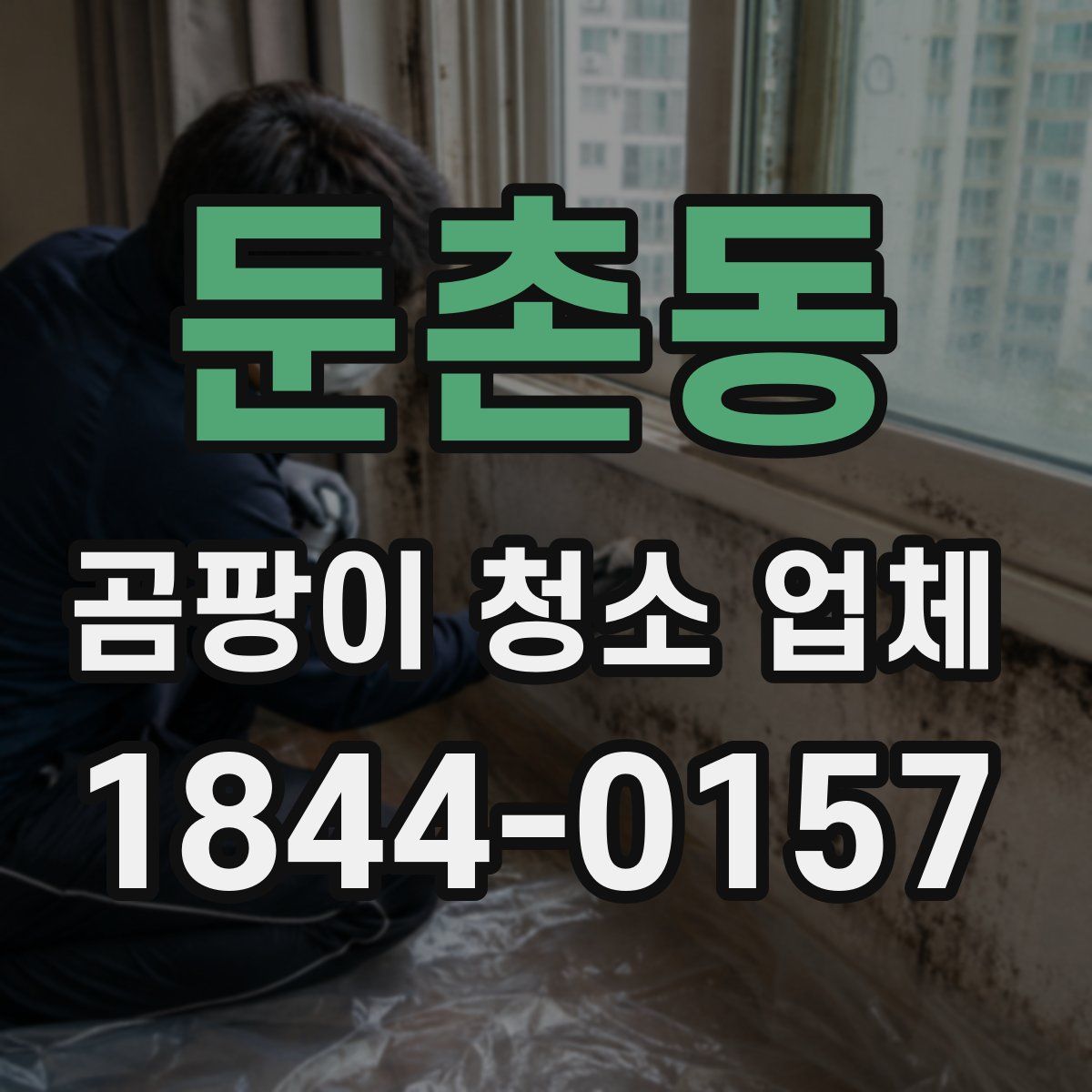 둔촌동 곰팡이 청소 업체