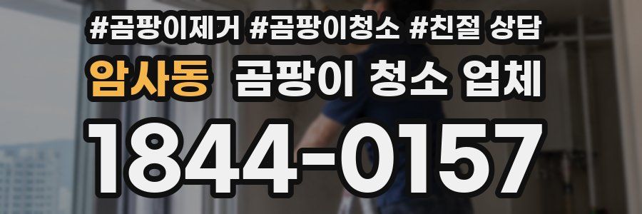 암사동 곰팡이 청소 업체