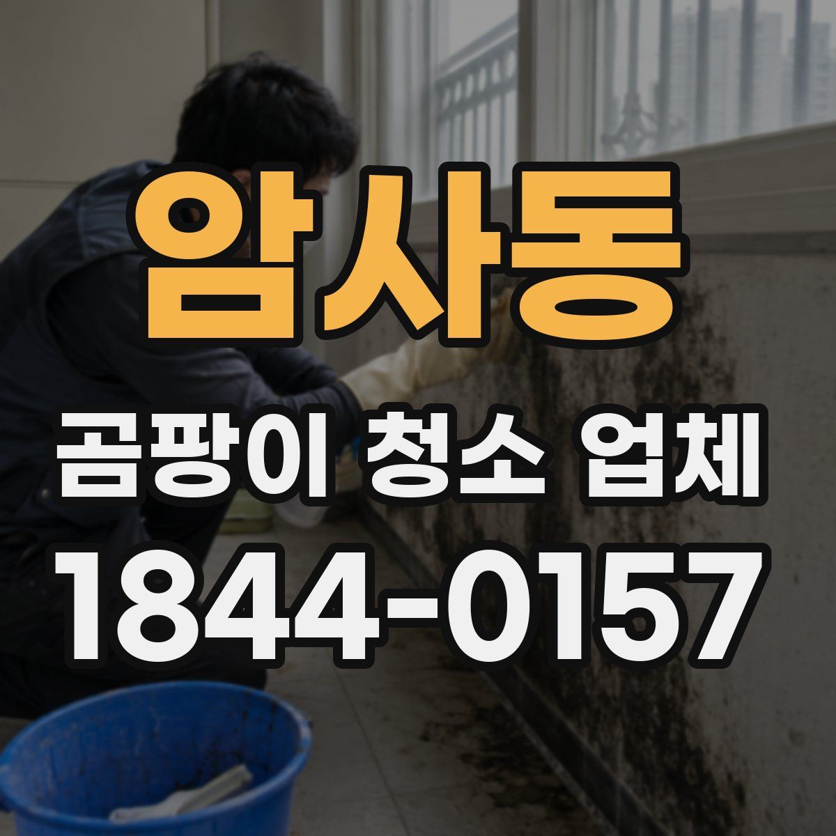 암사동 곰팡이 청소 업체