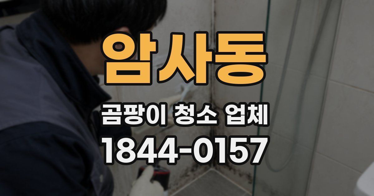 암사동 곰팡이 청소 업체