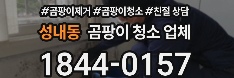 성내동 곰팡이 청소 업체