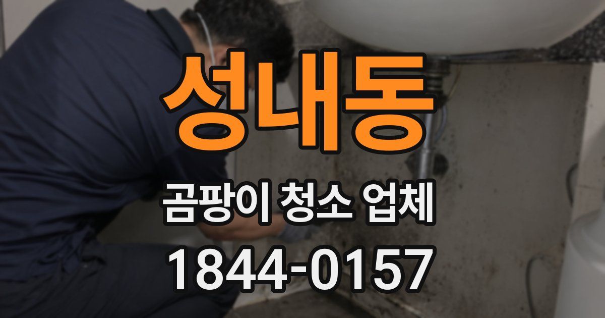 성내동 곰팡이 청소 업체