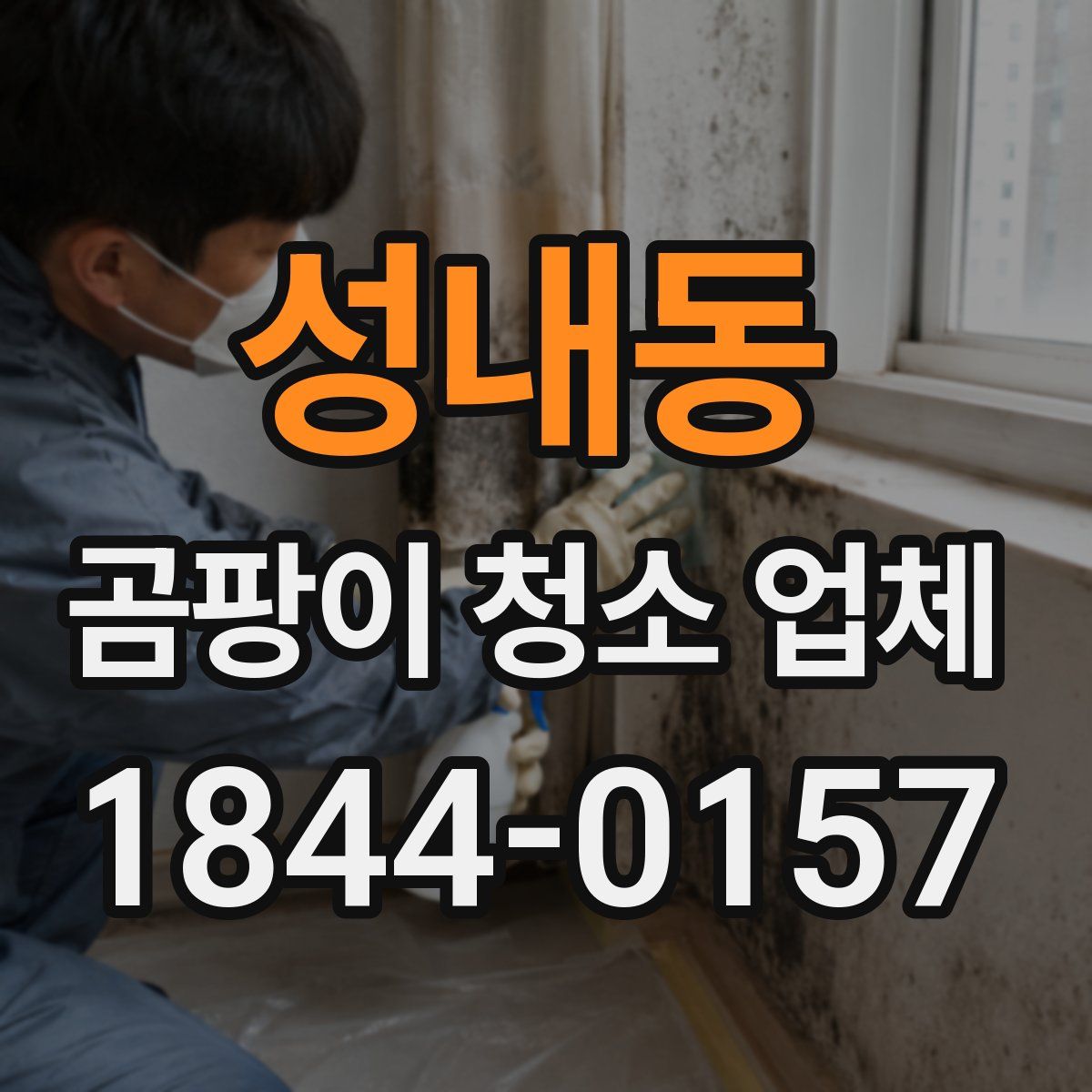 성내동 곰팡이 청소 업체