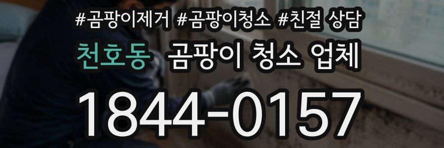 천호동 곰팡이 청소 업체