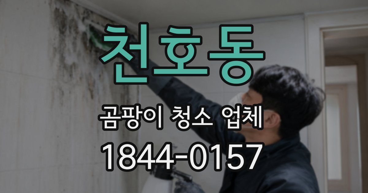 천호동 곰팡이 청소 업체