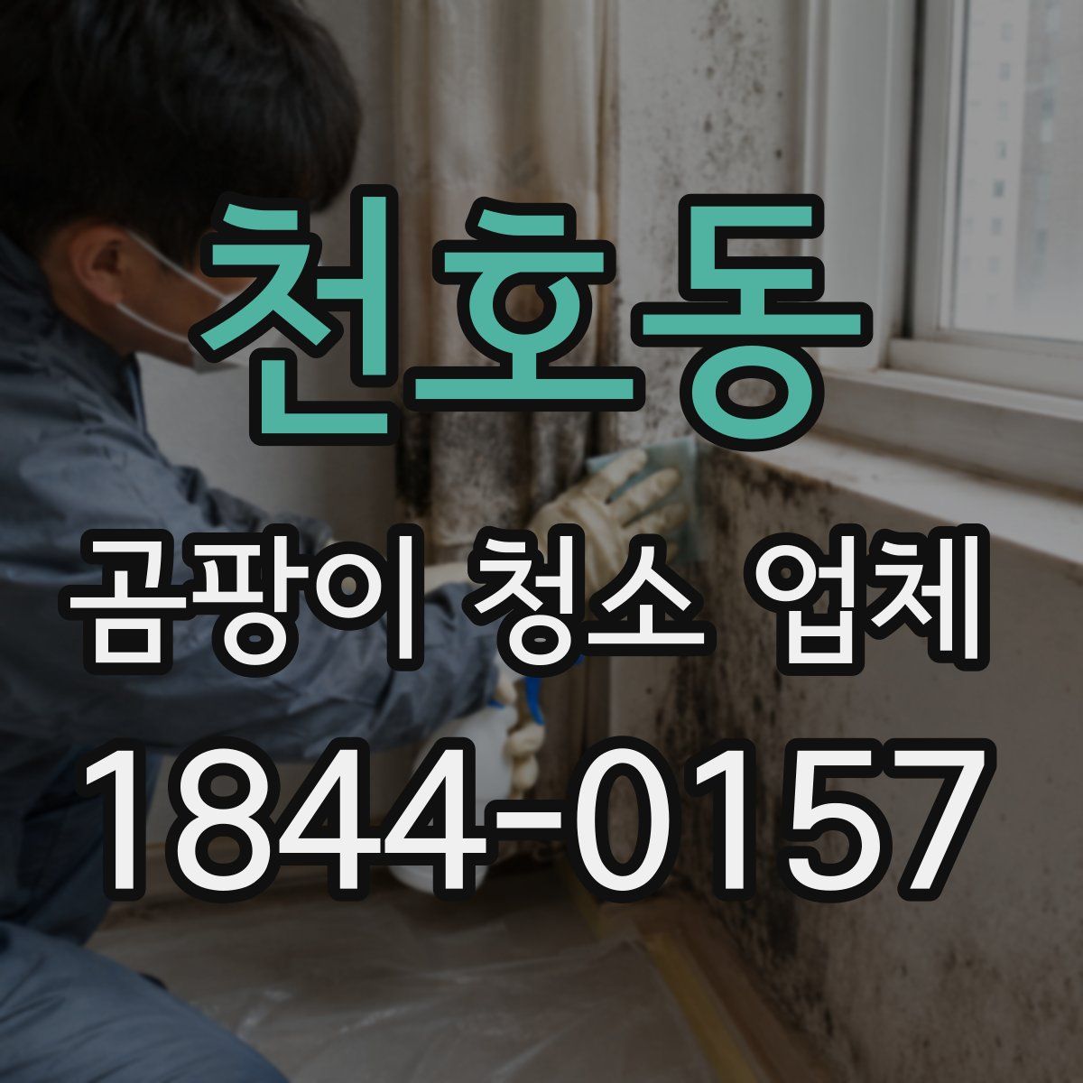 천호동 곰팡이 청소 업체