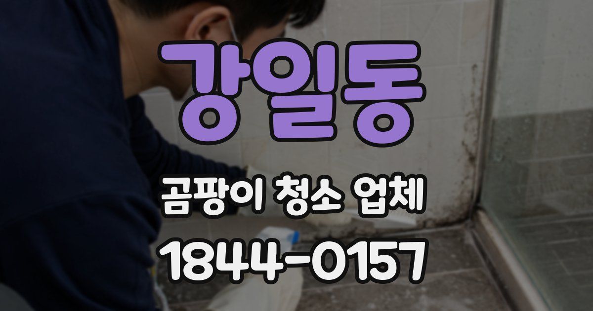 강일동 곰팡이 청소 업체