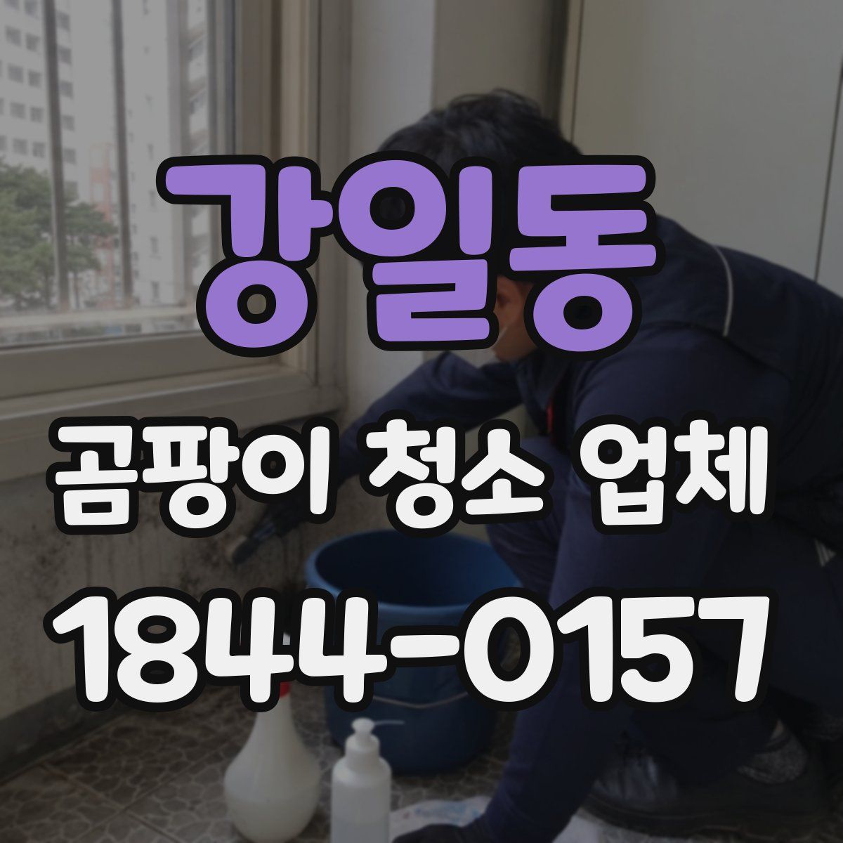 강일동 곰팡이 청소 업체