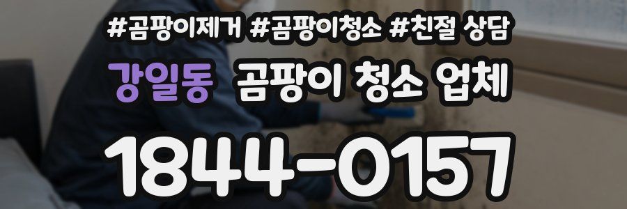 강일동 곰팡이 청소 업체