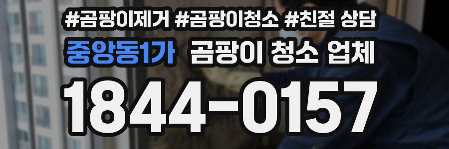 중앙동1가 곰팡이 청소 업체