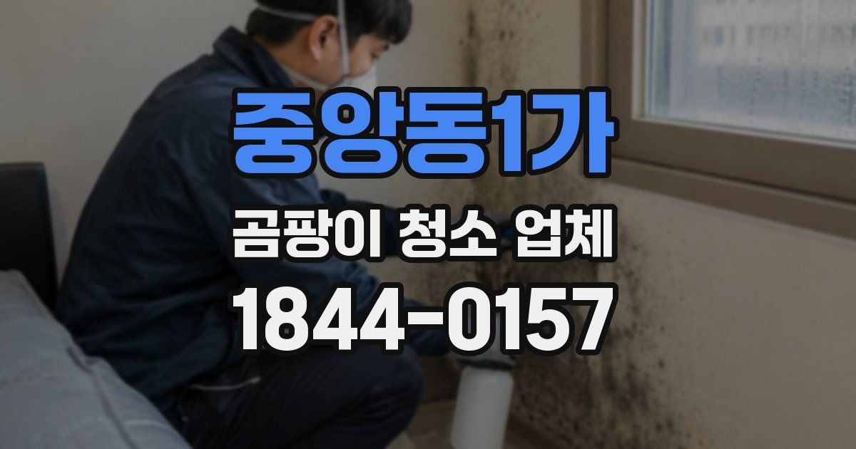 중앙동1가 곰팡이 청소 업체