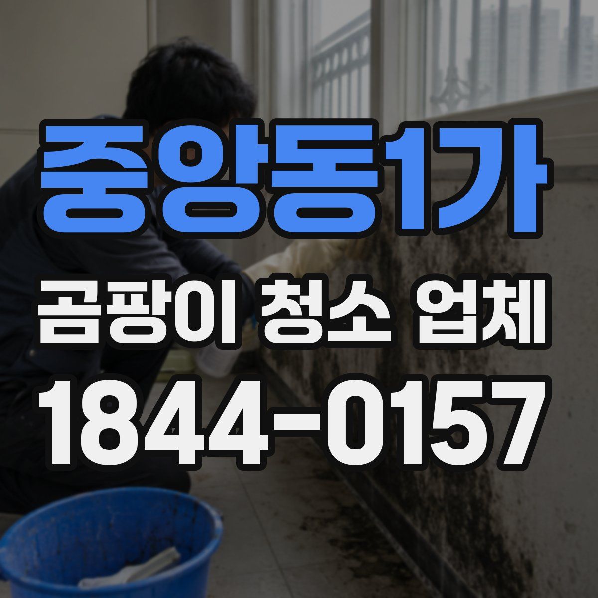 중앙동1가 곰팡이 청소 업체