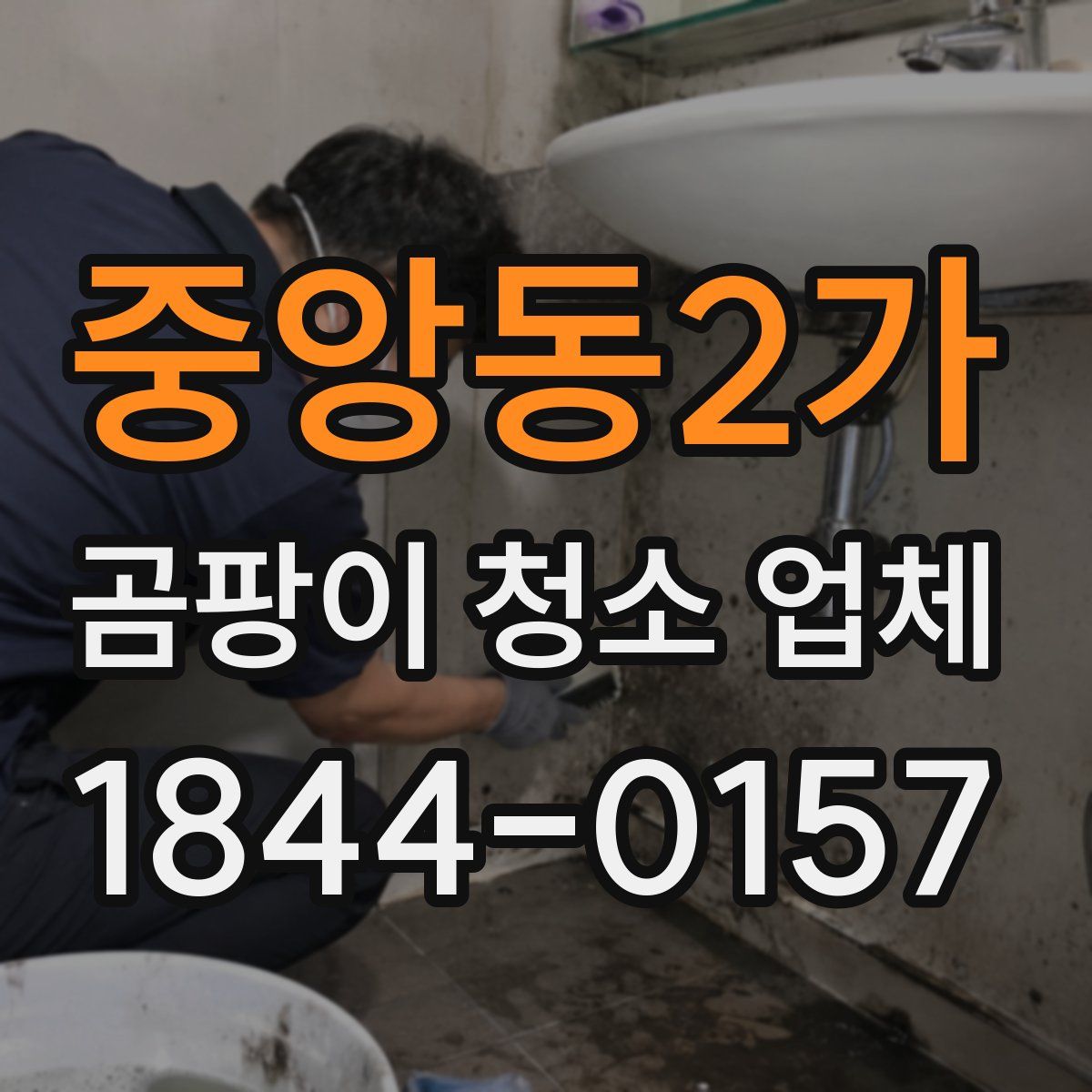 중앙동2가 곰팡이 청소 업체