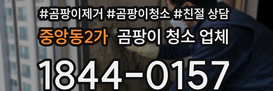 중앙동2가 곰팡이 청소 업체