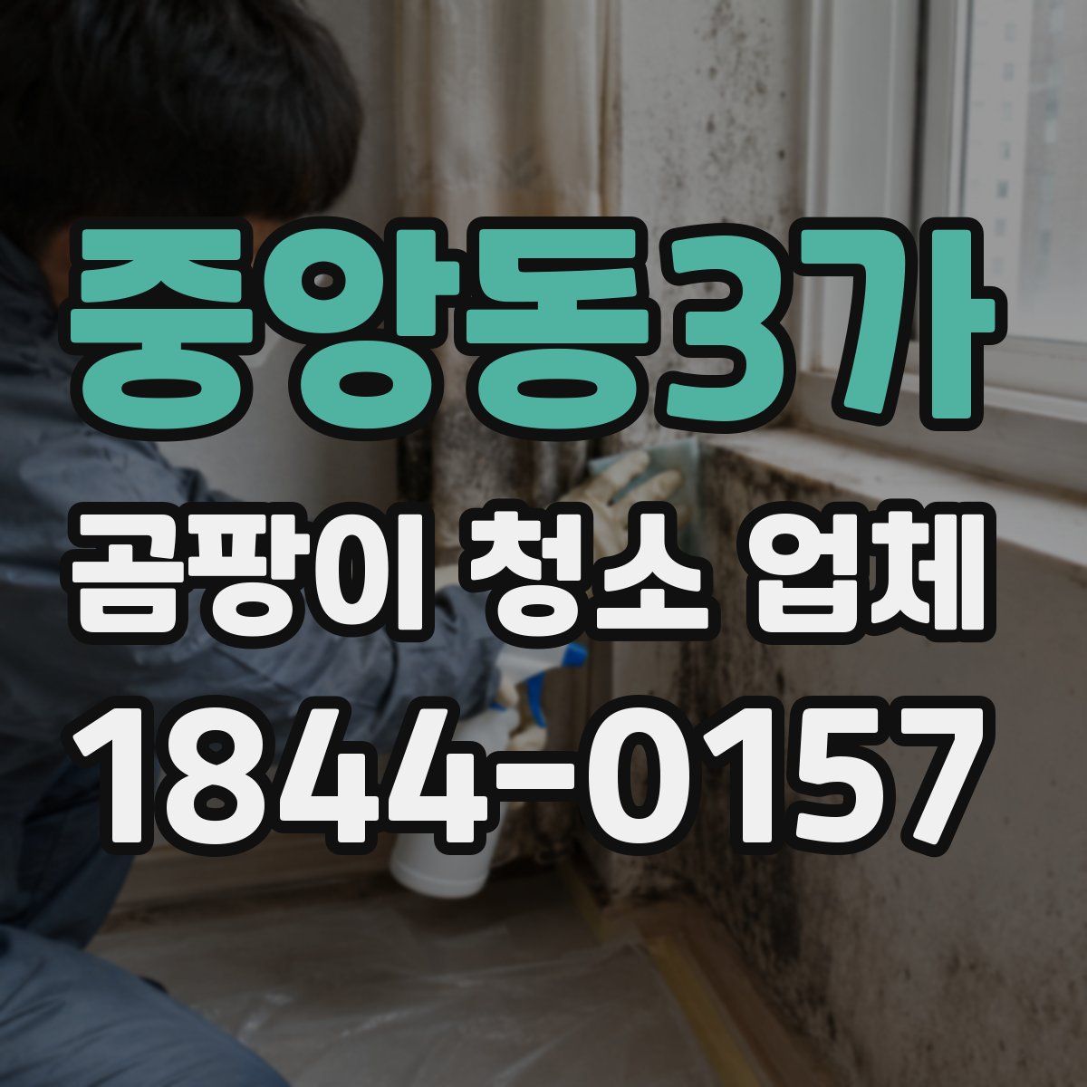 중앙동3가 곰팡이 청소 업체