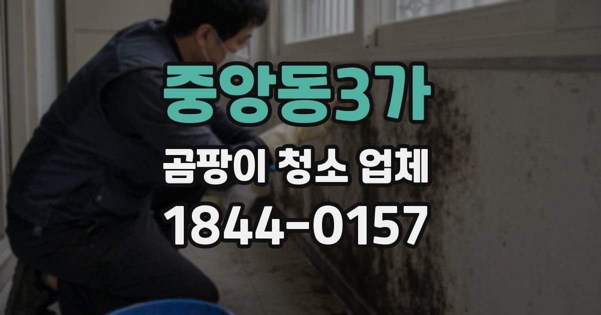 중앙동3가 곰팡이 청소 업체