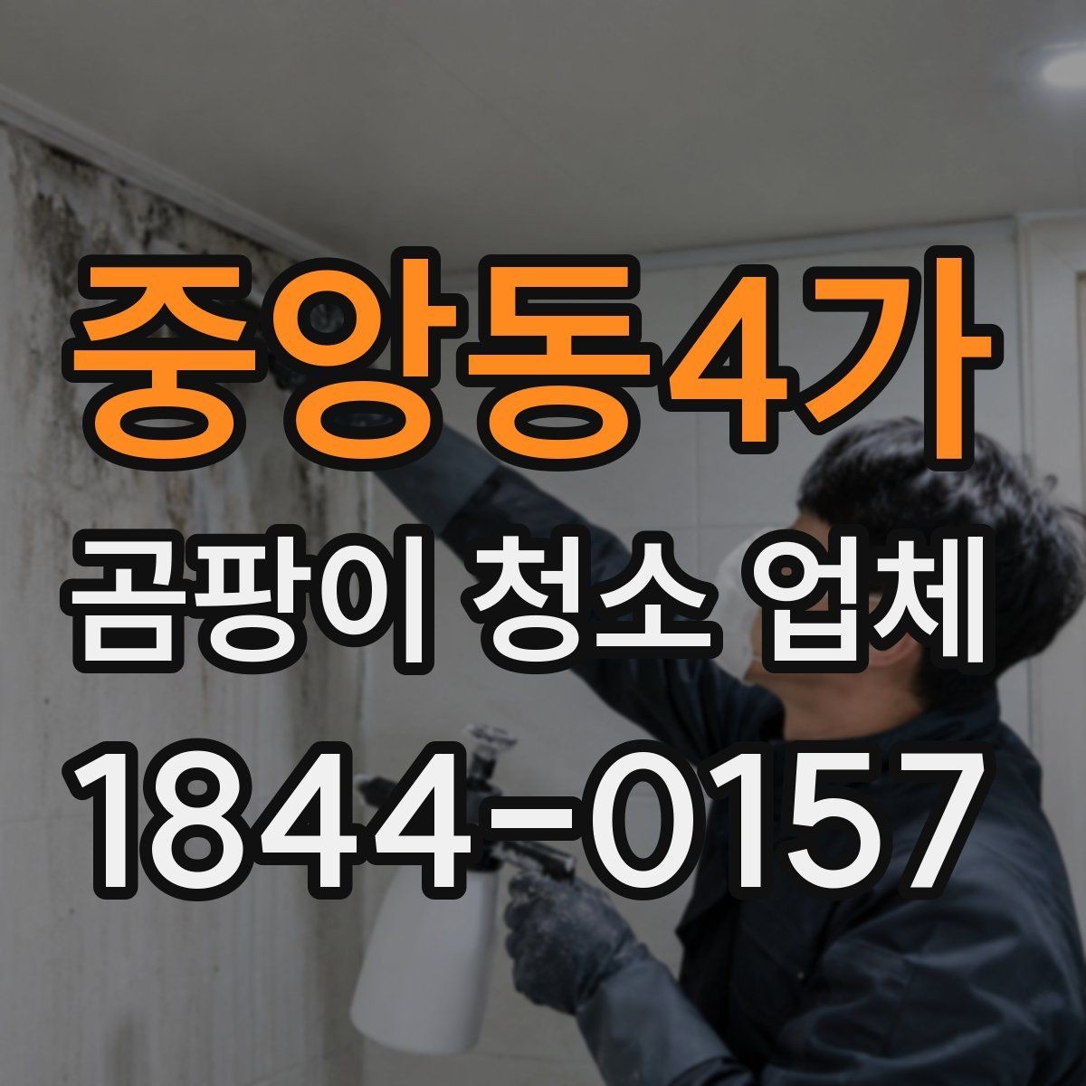 중앙동4가 곰팡이 청소 업체 후기 볼 때 주의할 점