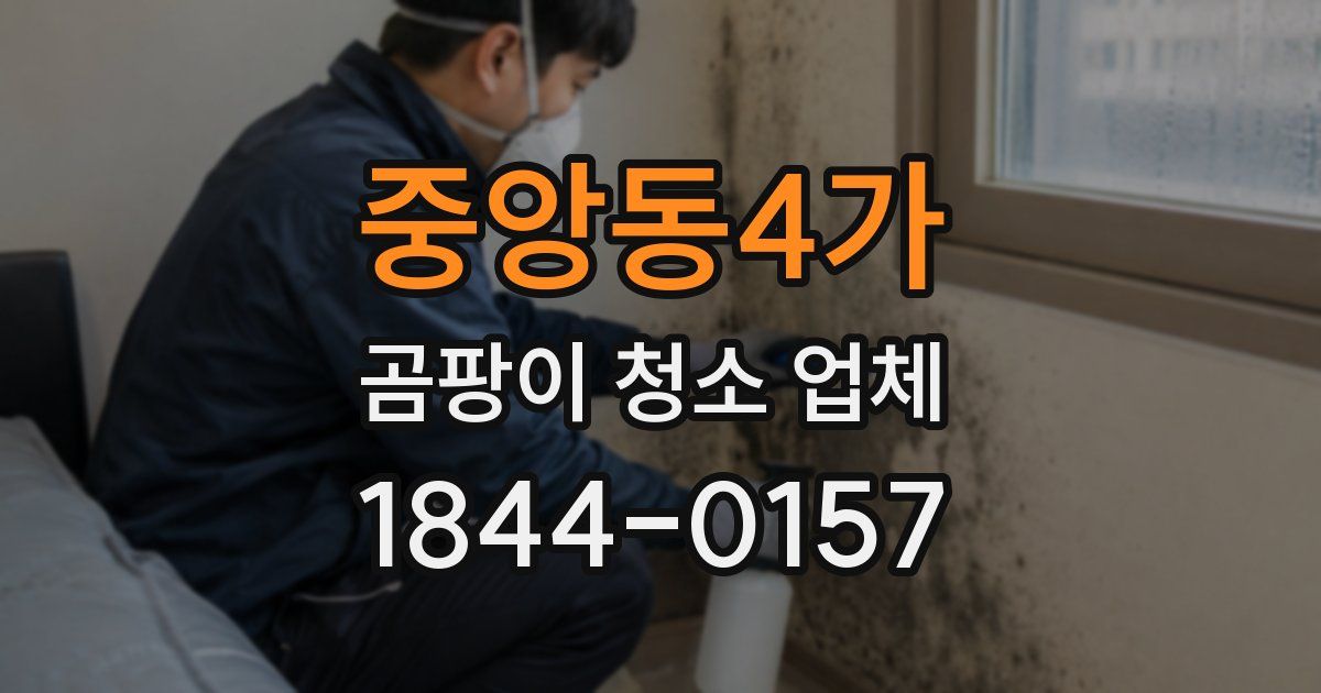 중앙동4가 곰팡이 청소 업체