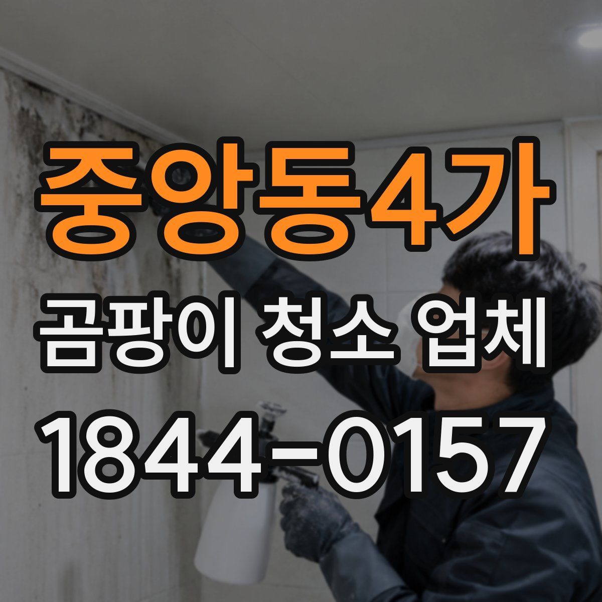 중앙동4가 곰팡이 청소 업체