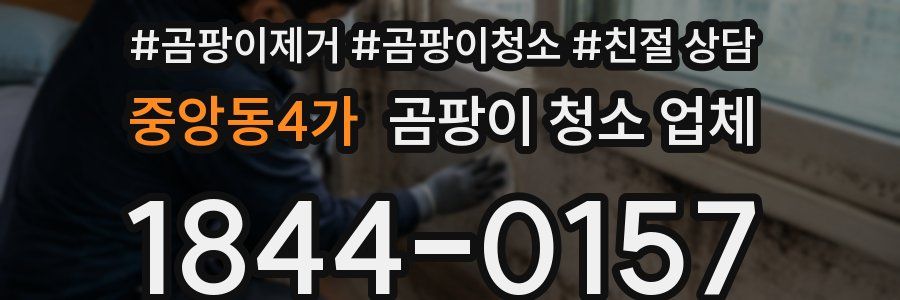 중앙동4가 곰팡이 청소 업체