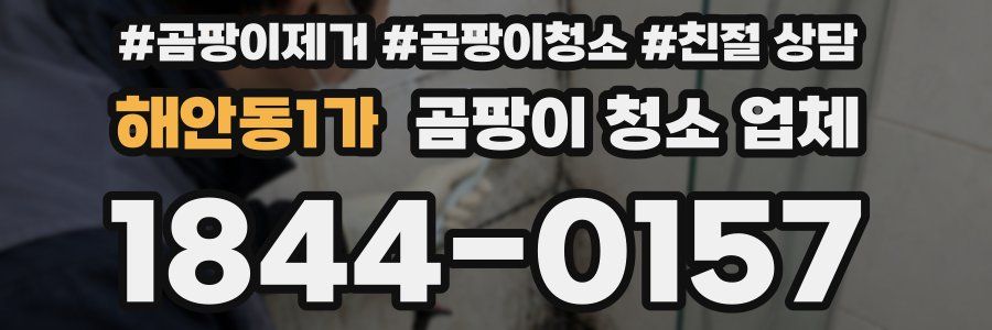 해안동1가 곰팡이 청소 업체