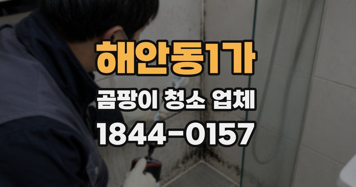 해안동1가 곰팡이 청소 업체