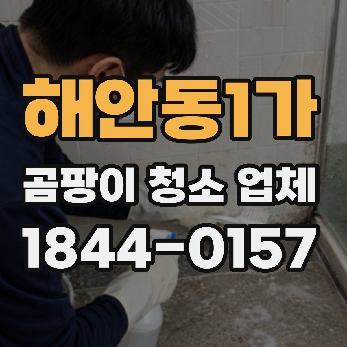 해안동1가 곰팡이 청소 업체