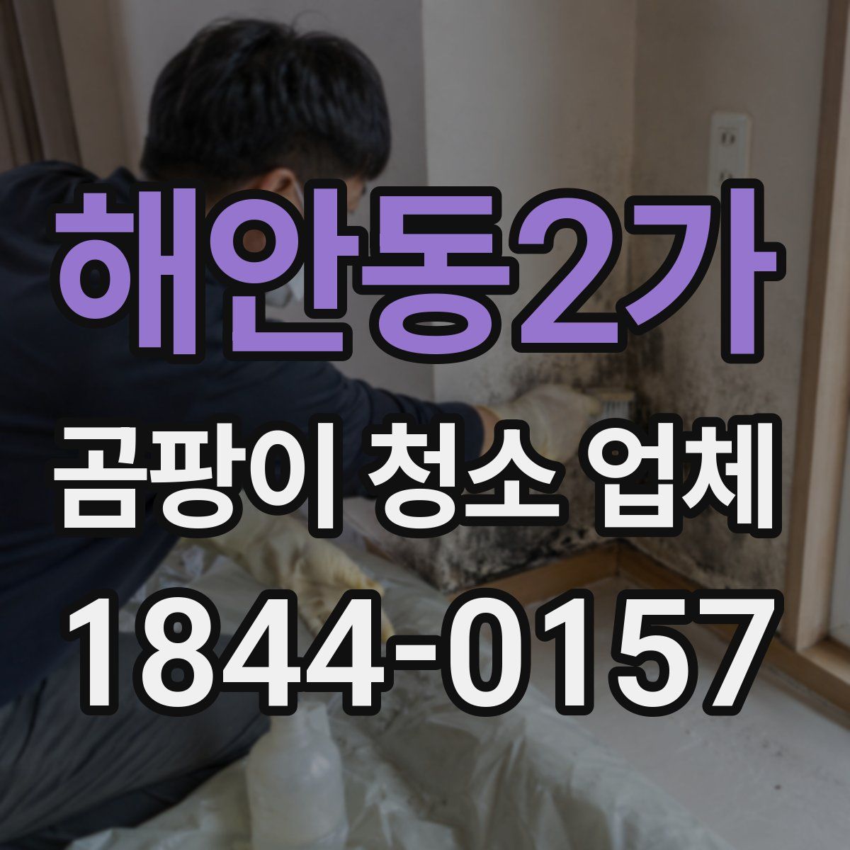 해안동2가 곰팡이 청소 업체