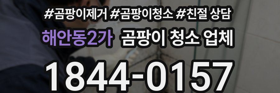 해안동2가 곰팡이 청소 업체