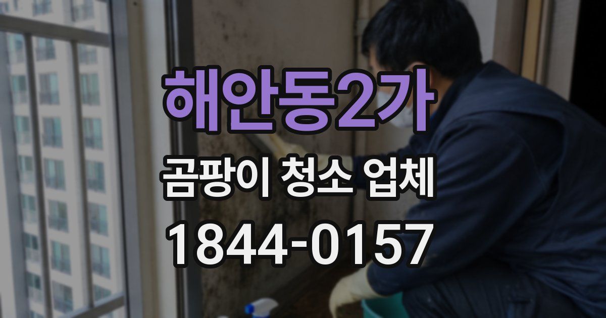 해안동2가 곰팡이 청소 업체