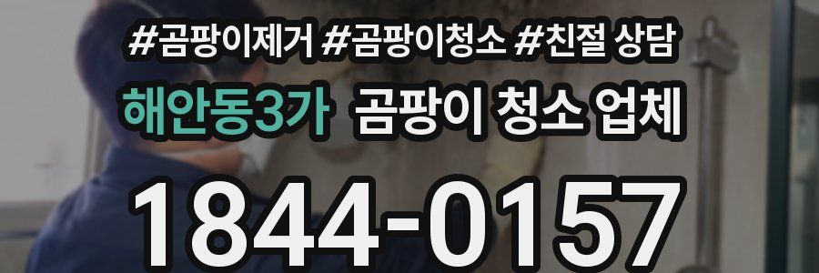 해안동3가 곰팡이 청소 업체