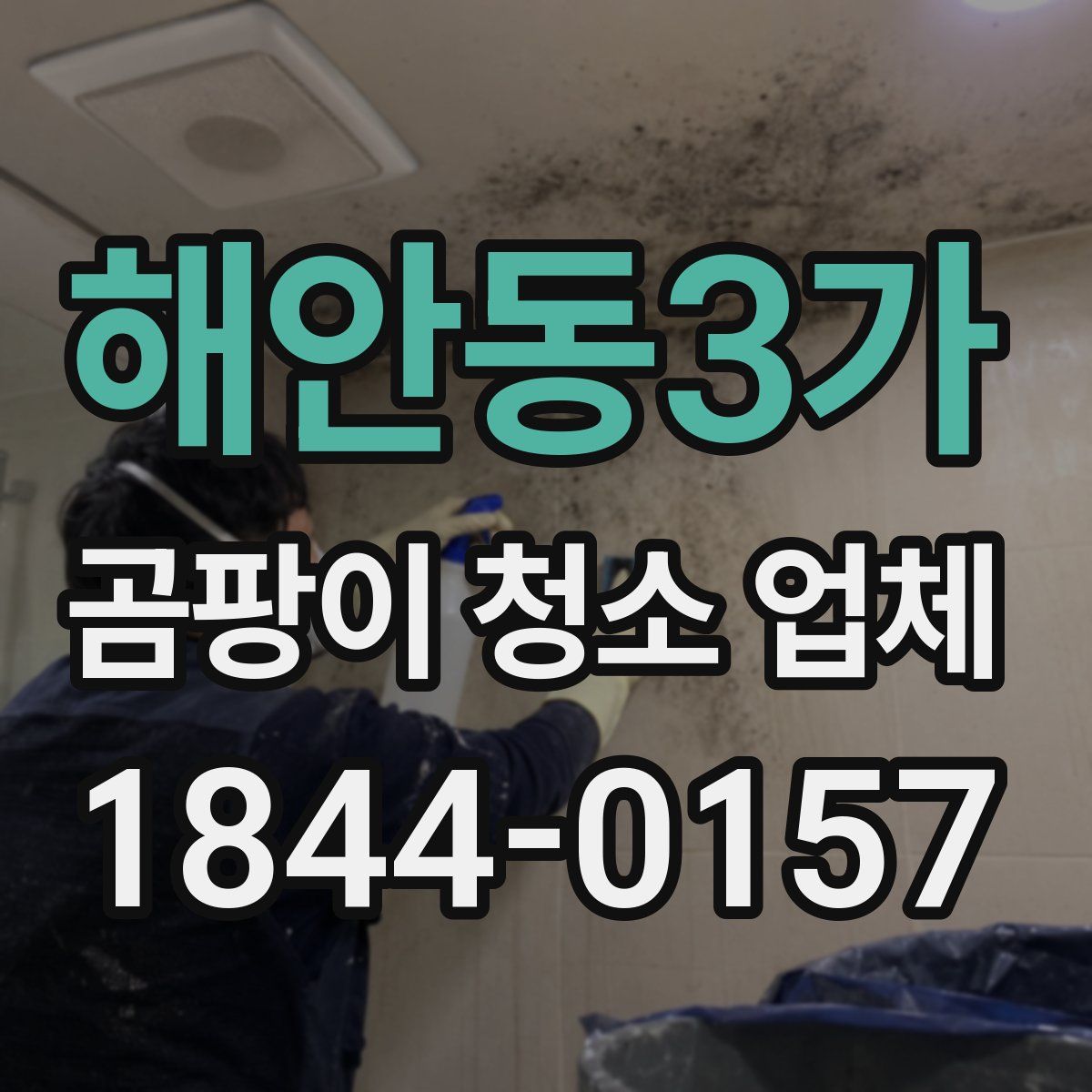해안동3가 곰팡이 청소 업체