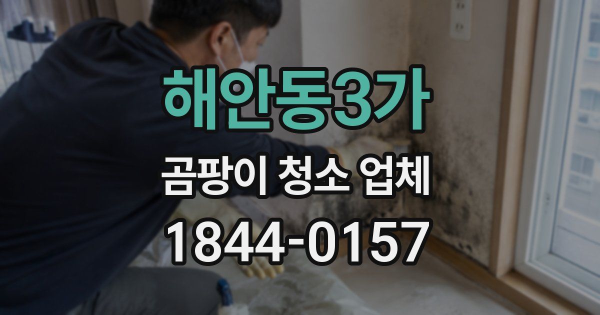 해안동3가 곰팡이 청소 업체