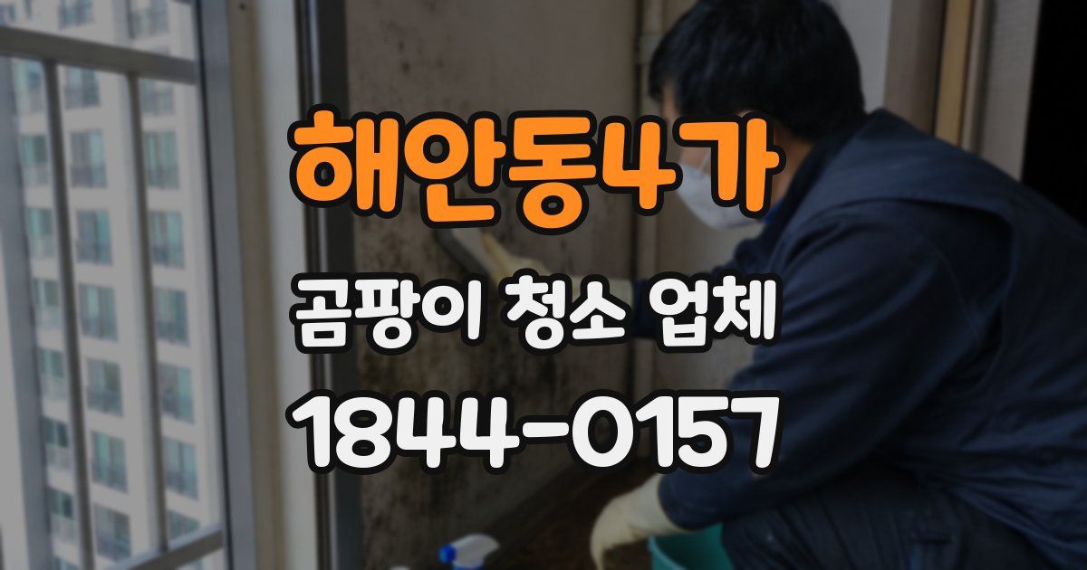 해안동4가 곰팡이 청소 업체