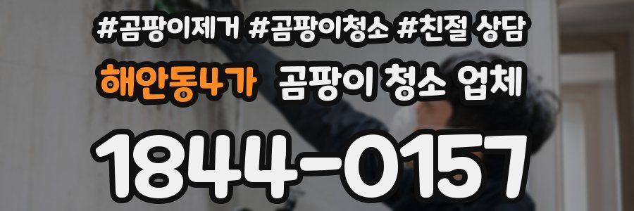 해안동4가 곰팡이 청소 업체