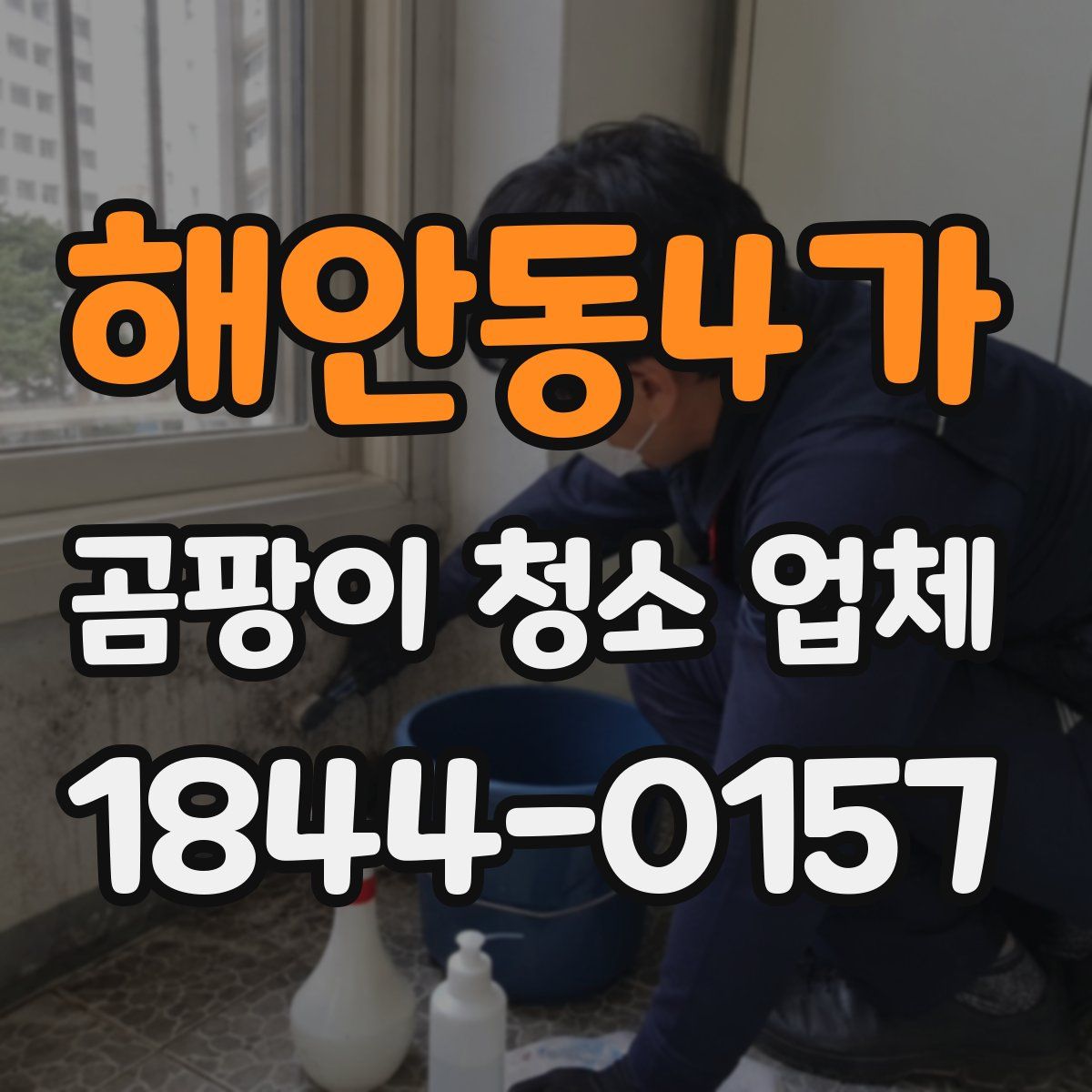 해안동4가 곰팡이 청소 업체