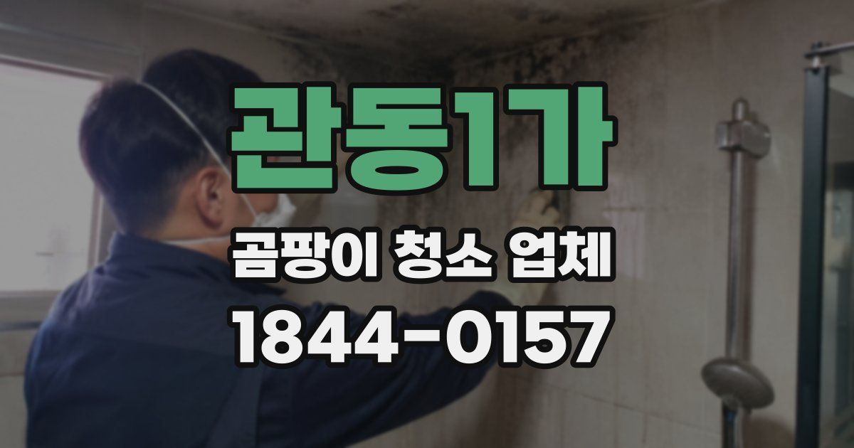 관동1가 곰팡이 청소 업체