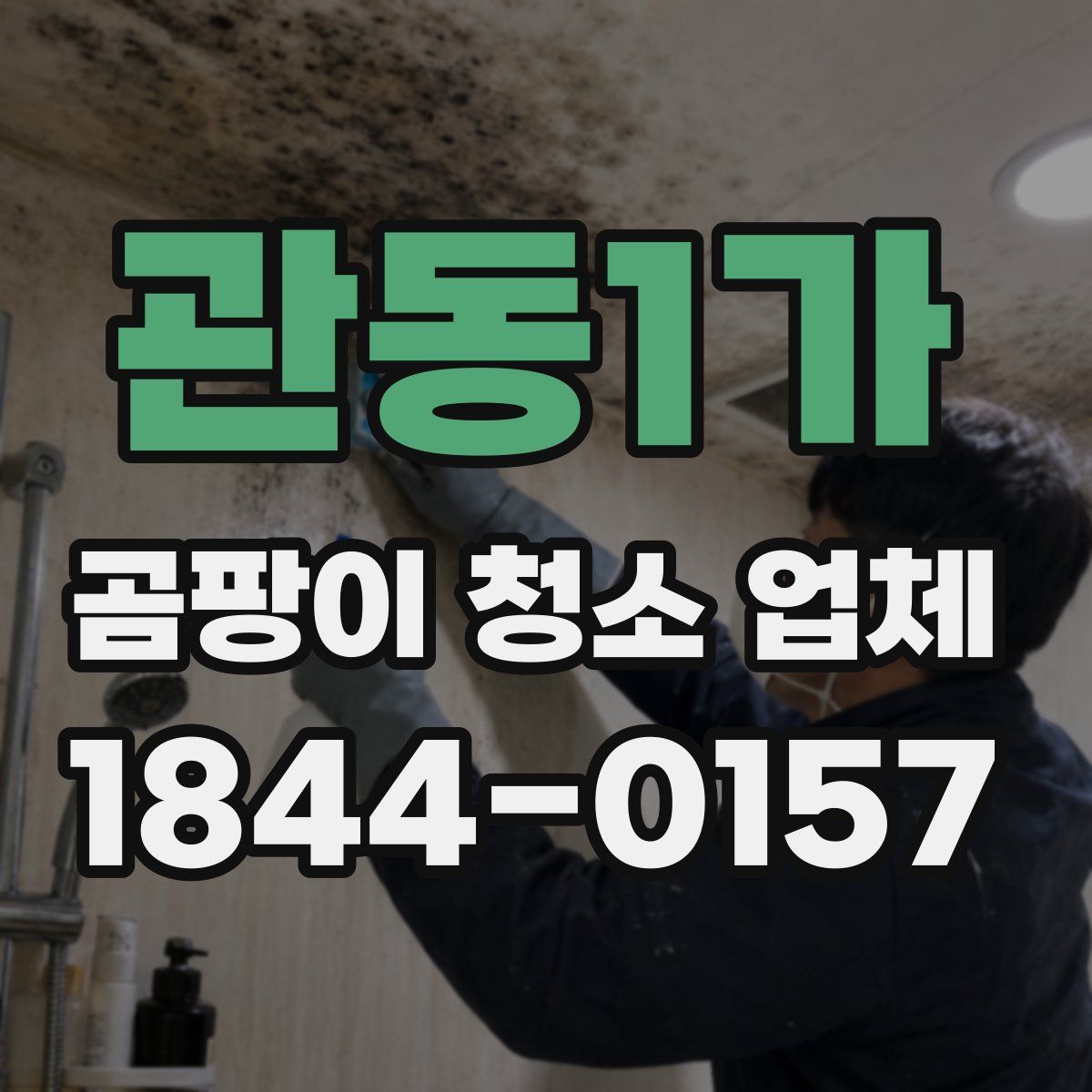 관동1가 곰팡이 청소 업체