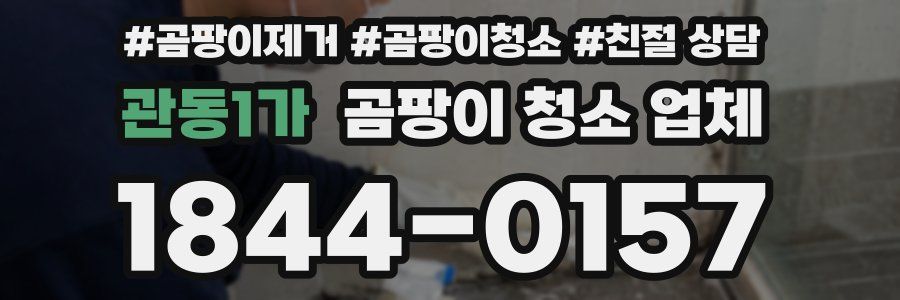 관동1가 곰팡이 청소 업체
