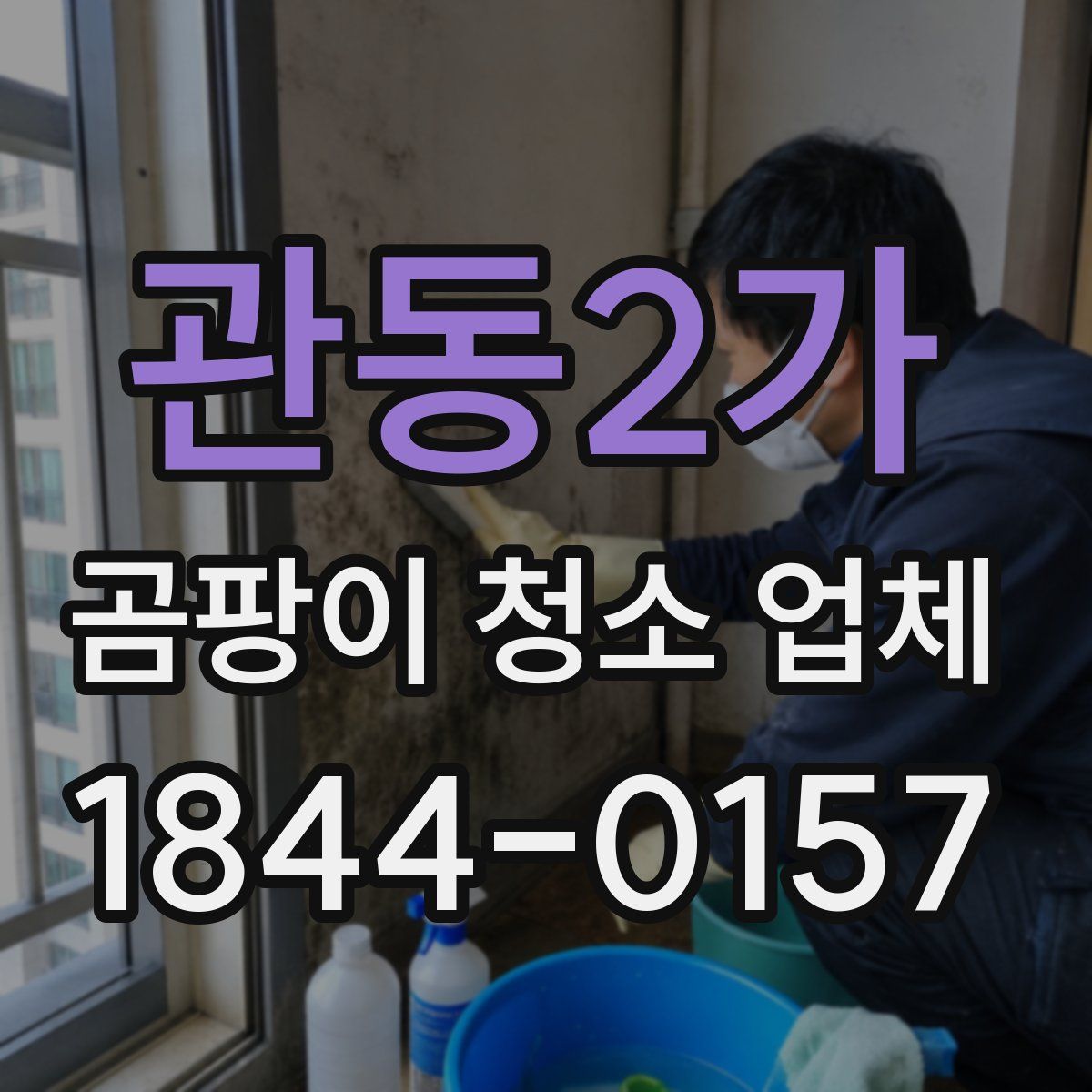관동2가 곰팡이 청소 업체