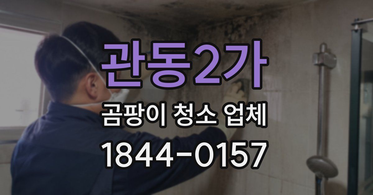 관동2가 곰팡이 청소 업체