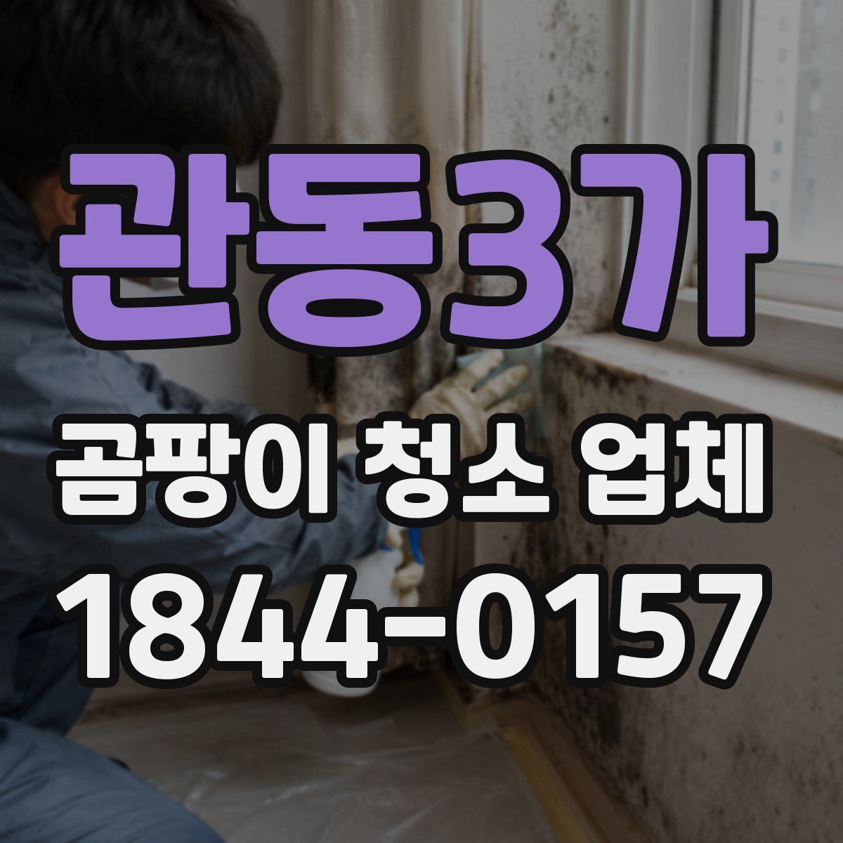 관동3가 곰팡이 청소 업체