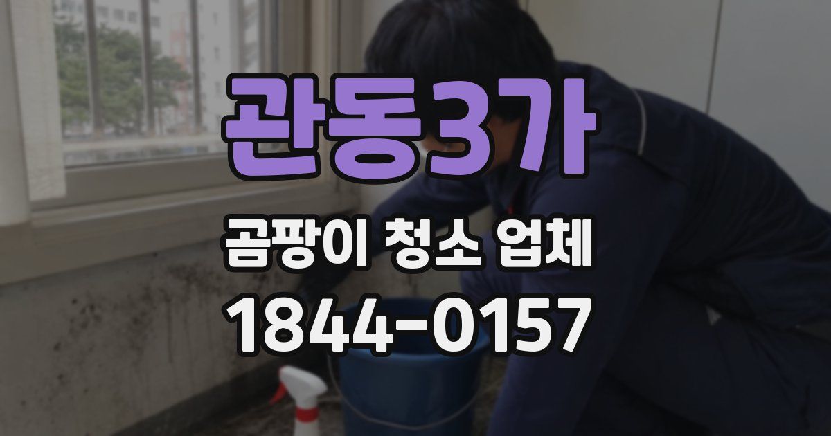 관동3가 곰팡이 청소 업체
