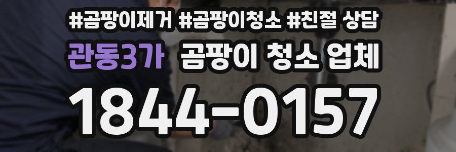 관동3가 곰팡이 청소 업체