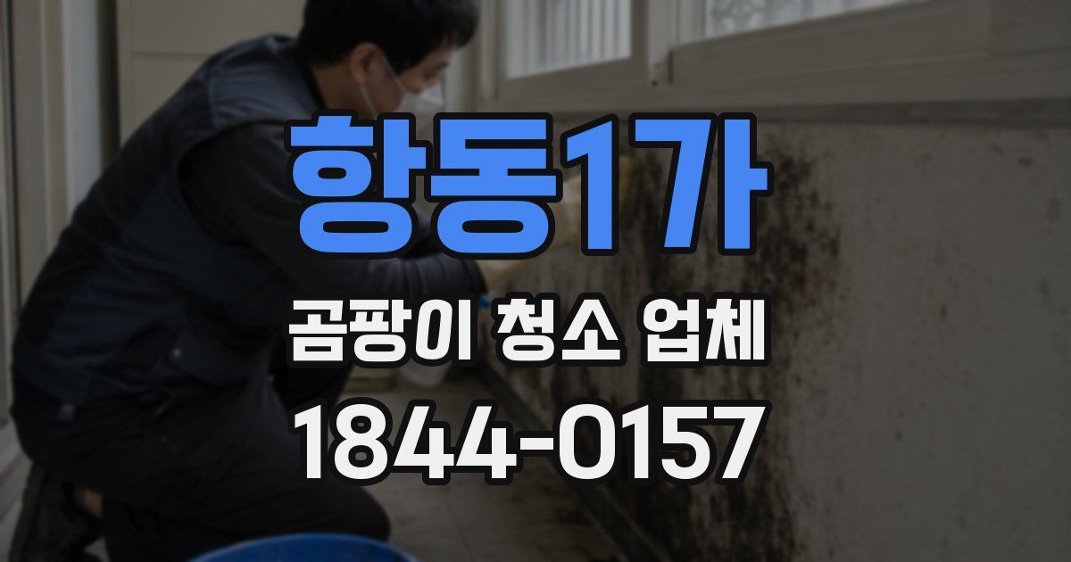 항동1가 곰팡이 청소 업체