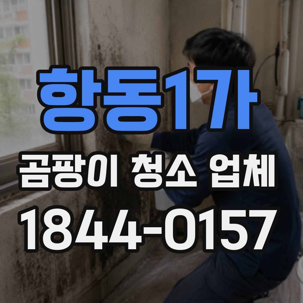 항동1가 곰팡이 청소 업체